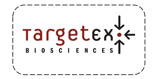 logo2009-003